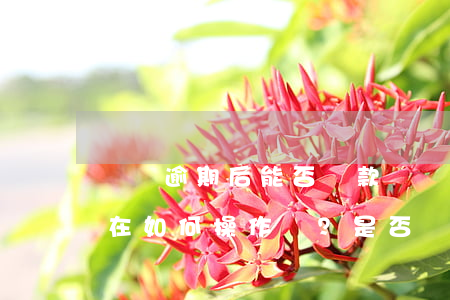還唄逾期后能否還款？現(xiàn)在如何操作？是否會(huì)上征信？